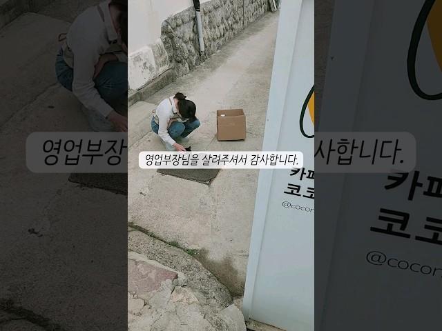 얼굴도 모르는 수많은 분들이 도와주셨다 ‍⬛댓글확인