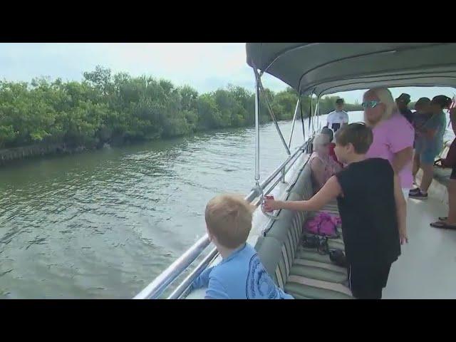 Experience Florida at Wild Side Boat Tours