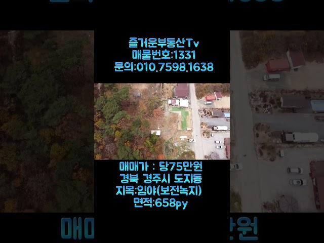 1331 경북 경주시 도지동