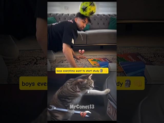 Idk why but it's always accidentally happen#cat #memes #edit #bombastic