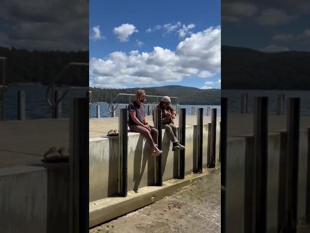 The Teskey Brothers '(Sittin' On) the Dock of the Bay' in Hobart, Tasmania