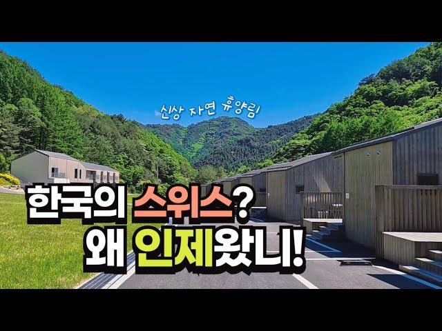 신축 자연휴양림에서 제대로 힐링하고 온 인제 여행 브이로그 | Travel to City called Korean Switzerland