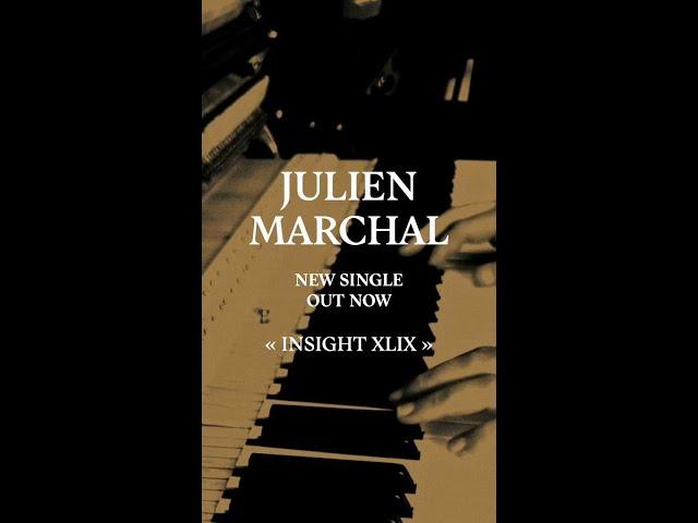 "Insight XLIX" by Julien Marchal