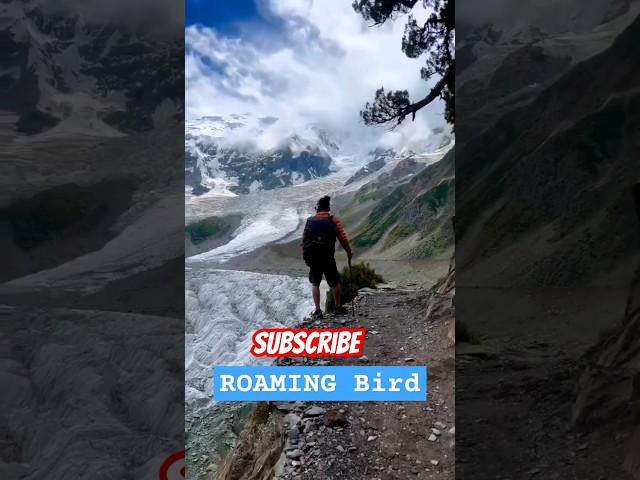 Mera Himalaya Ka Safar || Roaming Bird 