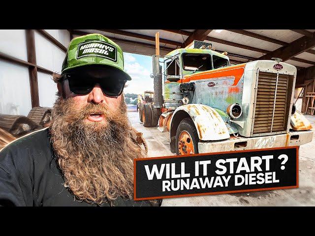 WILL IT START? Rare 358 Peterbilt Abandoned For 40 Years!!