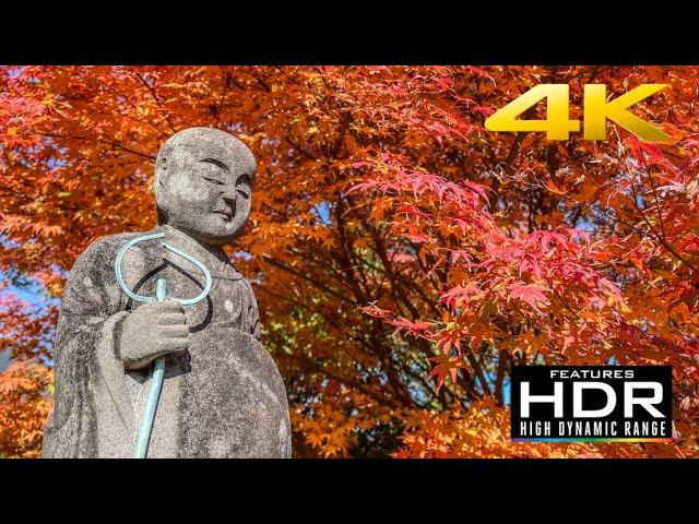  The Beauty of AUTUMN IN JAPAN - Visiting Jozunji Shrine Near Sasebo | MOMIJI EVERYWHERE [4K HDR]