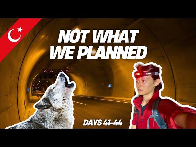 50 Minutes in a Tunnel + Wolves at Night | Walking the Black Sea Coast, Türkiye
