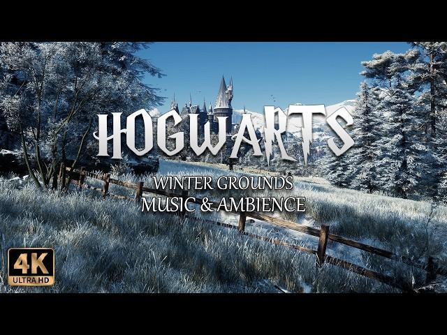 Winter Grounds at Hogwarts | 4K Cinematic Harry Potter Music & Ambience