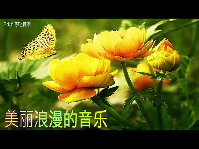 美麗浪漫的音樂 - 晚上好心情