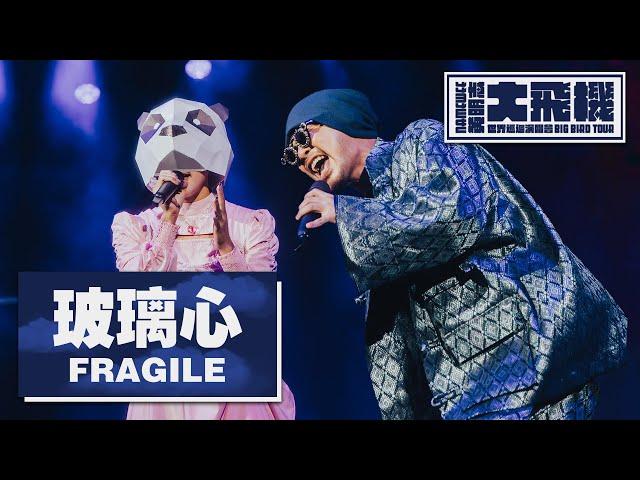 【玻璃心 Fragile】LIVE @黃明志大飛機世界巡迴演唱會 Namewee Big Bird Tour