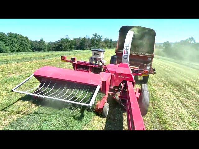 Chopping Hay On A Small Wisconsin Dairy Farm l In Cab View l (2024 Hay Season)