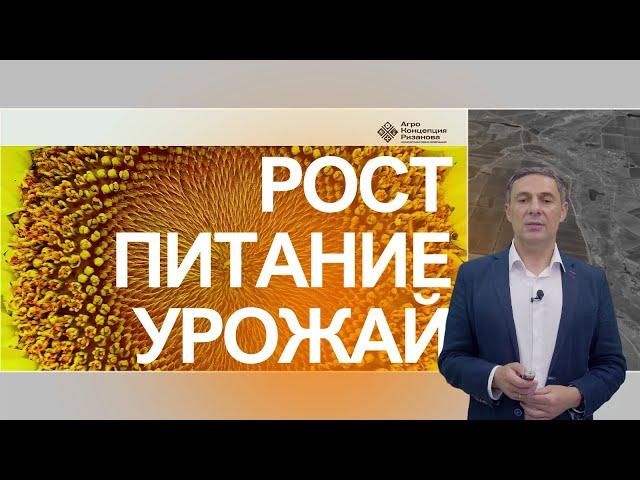 Система питания подсолнечника: как получить высокий урожай | Сергий Ризанов | Агроном