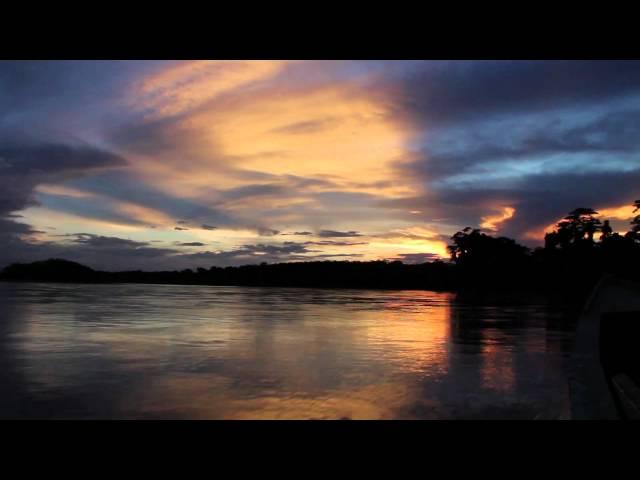 Tambopata, Peru: What A Wonderful World