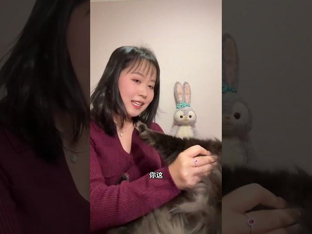 怎么会有猫这么烫手啊？ 一点警告不给，闷声啃一口大的。黑猫 这是我的好猫