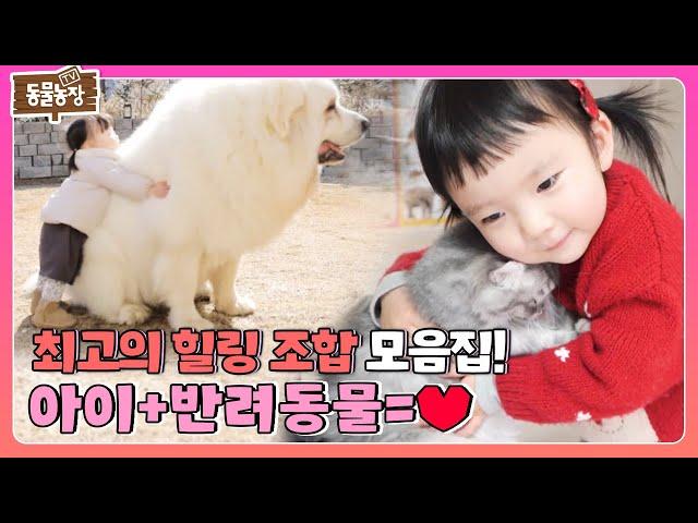 쏟아지는 귀여움에 편집자 기절... ‘아이X반려동물’ 모음집 I TV동물농장 (Animal Farm) | SBS Story