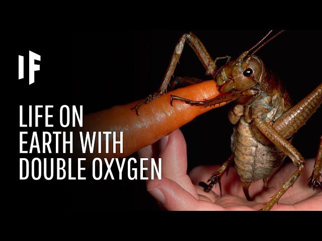 What If Oxygen Doubled in Earth’s Atmosphere?