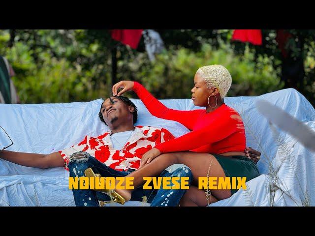 Ndiudze Zvese Remix (Official Video)