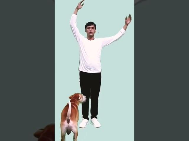 BTS - Fundamental Steps in Folk Dance (featuring Wushu)