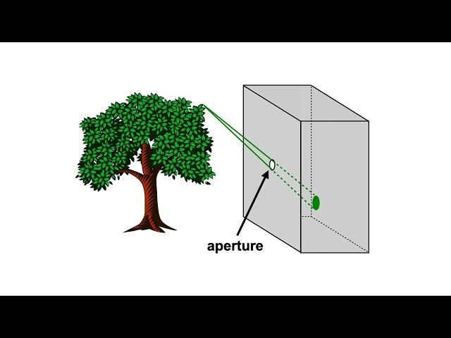 Perspective projection in 5 minutes