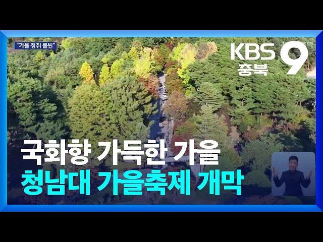 국화향 가득한 가을…청남대 가을축제 개막 / KBS  2024.10.26.