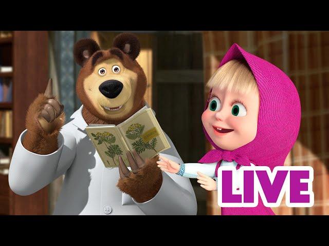 ماشا والدب ‍️ LIVE STREAM!  يوم آخر، حلم آخر  Masha and the Bear