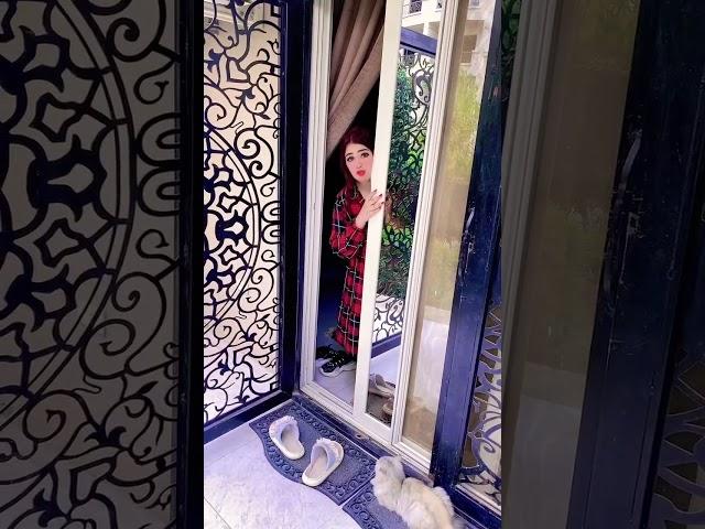 مشمشه موقفه القطط بدور علشان الاكل