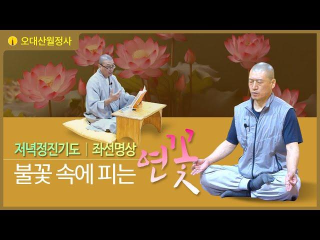 불꽃속에피는연꽃 9월 24일 저녁정진기도 | 스님과 함께하는 좌선명상 | Guided Daily Meditation