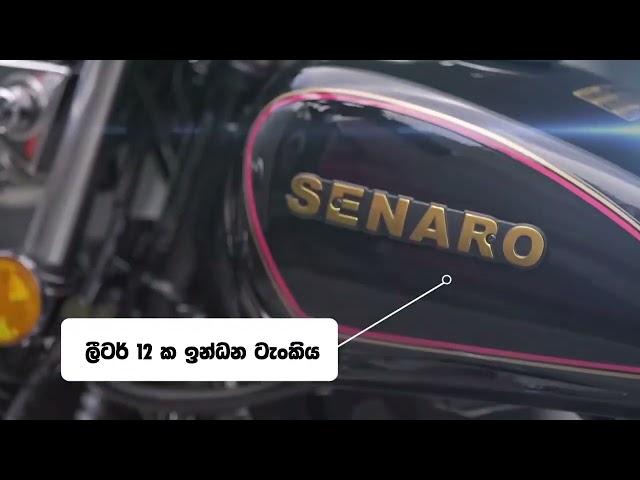 Senaro GN 125 Bike Specifications