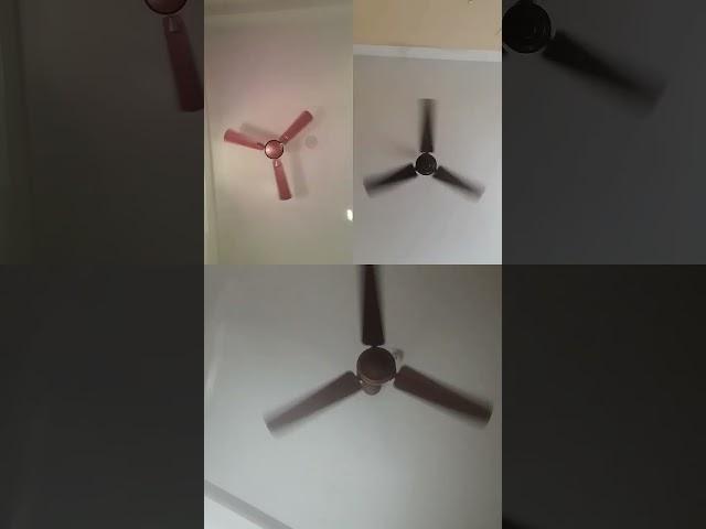 Ceiling #fan #viralvideo #ceilingfan #video #kipasangin #viralshorts #youtubeshorts #ytshorts #sound