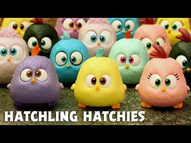 Hatchling Hatchies | Angry Birds