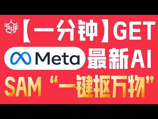 【哪里想抠抠哪里】一分钟学会Meta最新抠图AI神器SAM“一键抠万物”