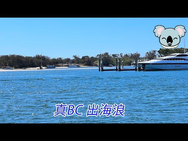 真BC出海浪