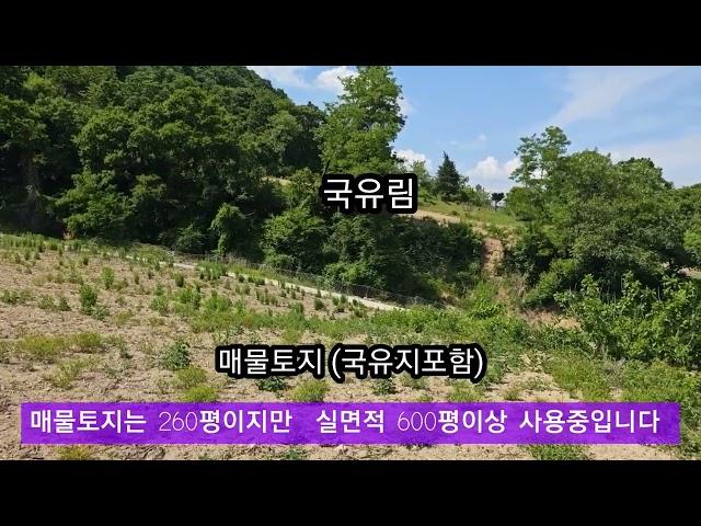 (제천토지)제천시 봉양읍 전망좋고 국유림 접한토지 260평(실사용600평)