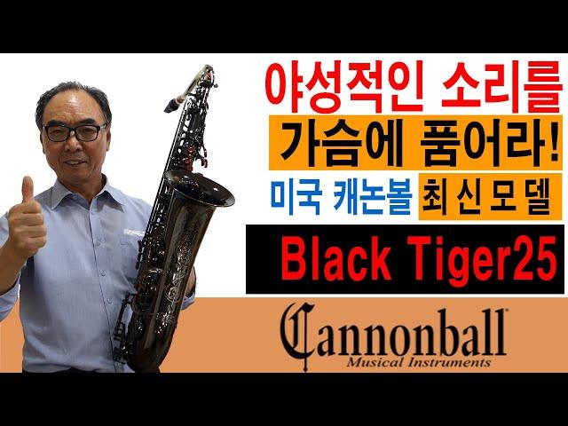 야성적인 소리를 가슴에 품어라!  신모델 Black Tiger25