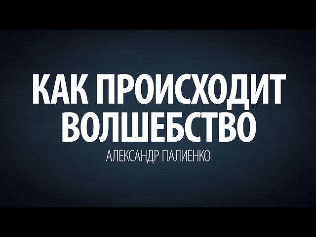 Как происходит волшебство. Александр Палиенко.