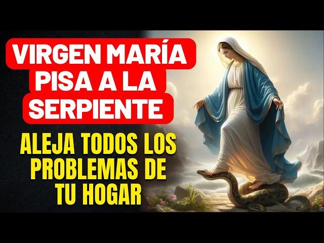 ORACIÓN MILAGROSA A LA VIRGEN MARÍA - TODO MAL SERÁ ALEJADO Y CANCELADO