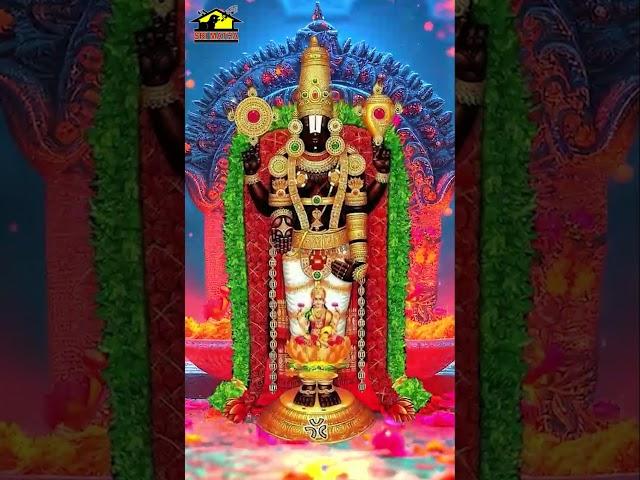 #srivenkateswarachalisa#musichouse27#devotinalshortvideos#ghattisrividya#shorts
