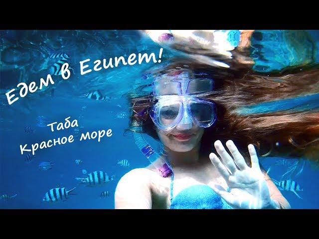 Египет и Красное море! Город Таба