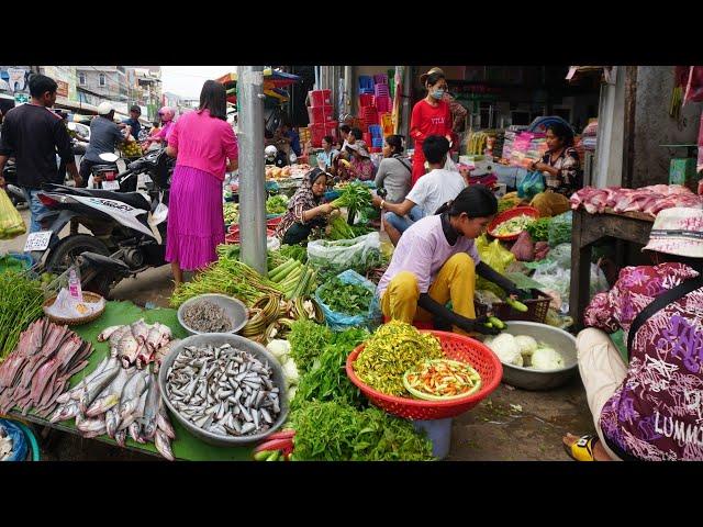 Morning Street Market @Prek Phnov - Daily Lifestyle of Khmer People Buying & Selling Food in Market