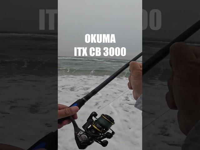 this surf fishing lure gets BIT!!  #okumafishingusa #benjiekimfishing #luckycraft #stripedbass