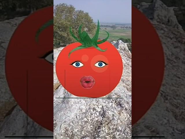 Tamater & Bagan || Comedy Video || Tamatar & Bagan Comedy Video || kktts Video #shorts