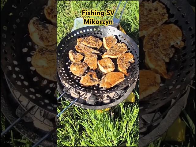 Шашлык. Курица в Пиве Вкуснятина. Рыбалка на платнике Микожин. 27.04.2025. #4k #video #fishing