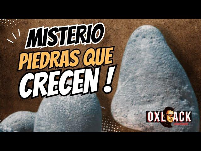 DESCUBREN QUE LAS PIEDRAS CRECEN ! / Oxlack Investigador