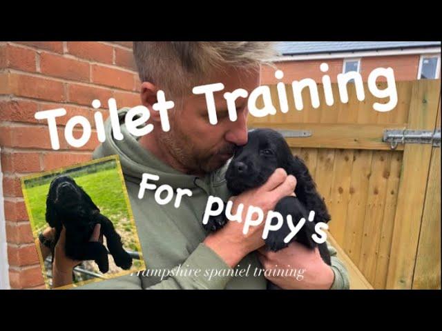 Potty training for your new puppy