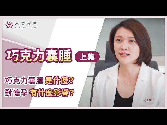 【巧克力囊腫常見問題 /上集】巧克力囊腫是什麼？對懷孕有什麼影響？｜楊小萱醫師