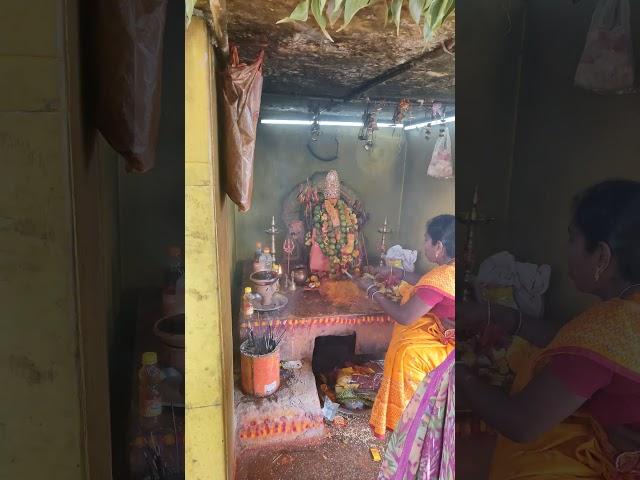 Gattamma temple #devotional #jaimataji #samakkasarakka