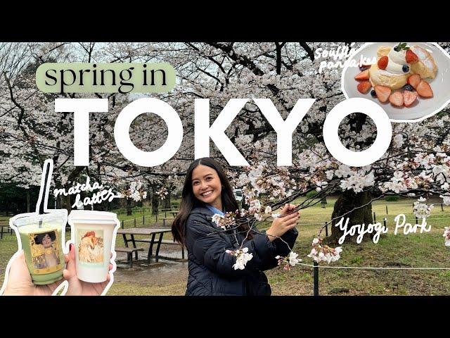  Days 3 and 4 | Manten Sushi Omakase, Head Spa, Exploring Shibuya, Yoyogi Park, Soufflé Pancakes 