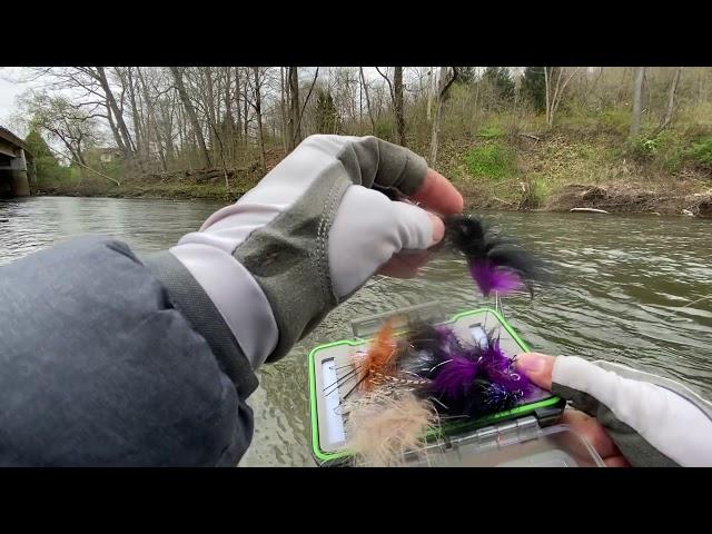 Trout spey Fishing , My Biggest Trout !