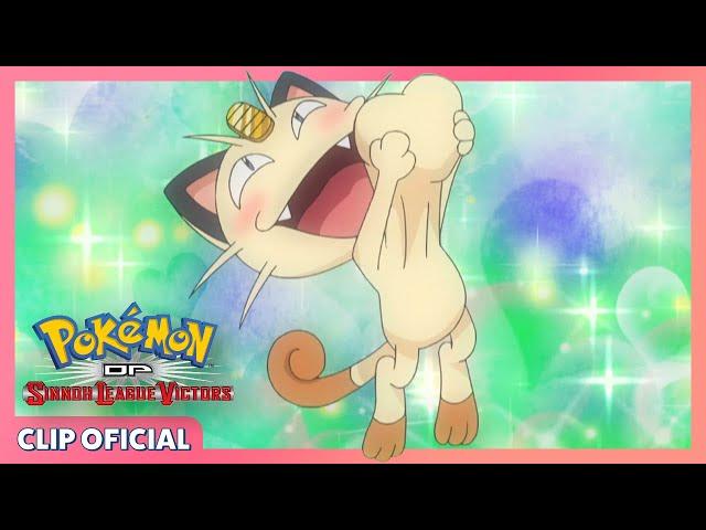 ¡Meowth está enamorado de Glameow! | Pokémon: DP Los vencedores de la Liga de Sinnoh | Clip oficial