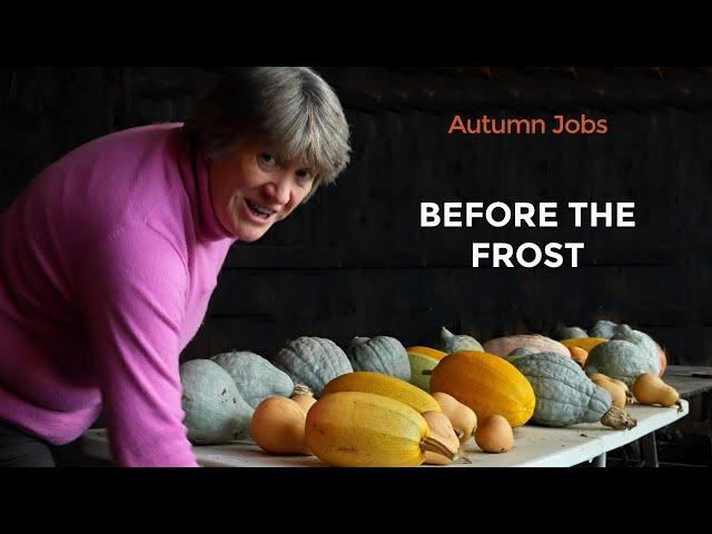 More Autumn Jobs in Self-Sufficient Vegetable Garden | Harvesting veg and fruit bed prep